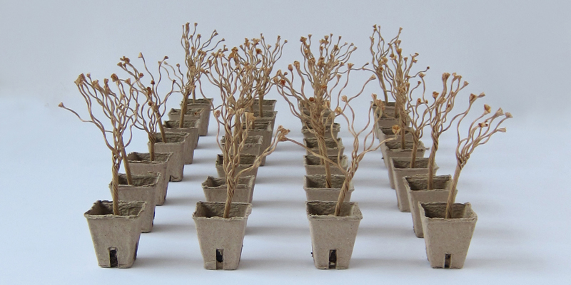 Danuta Haremska, Norway: “Similar, yet unique” – artificial flowers growing in papier-mâche pots