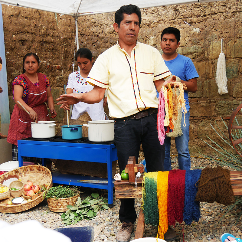 Weaver and dyer Jacobo Mendoza from Teotitlán del Valle who, with the help of his entire family, clearly demonstrated the complete production process of the finely woven carpets, beginning with spinning and dyeing using natural materials.