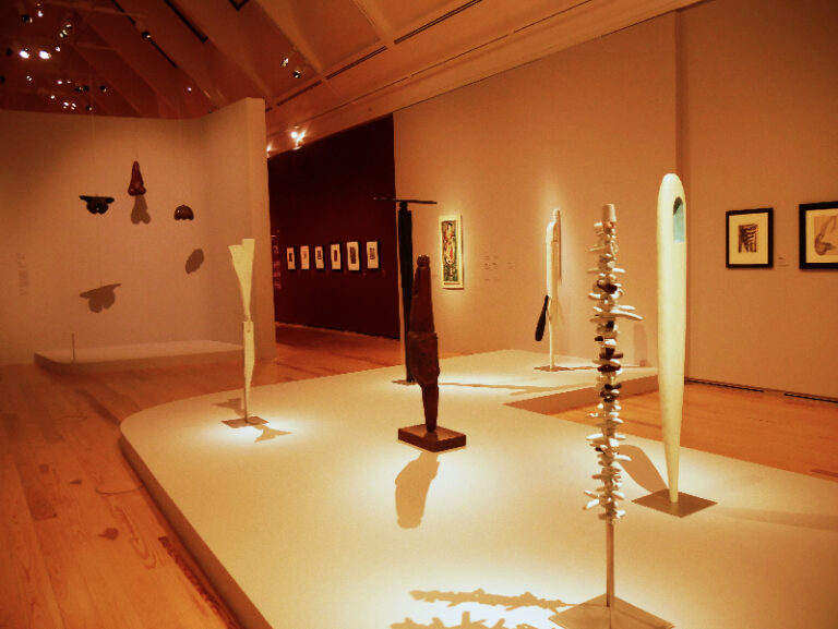 Surreal Objects by Ingrid Pfeiffer Surreal Objects by Ingrid Pfeiffer