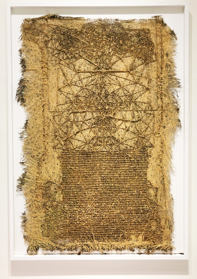 Diana Scherer: Farming Textiles – Textile Forum Blog